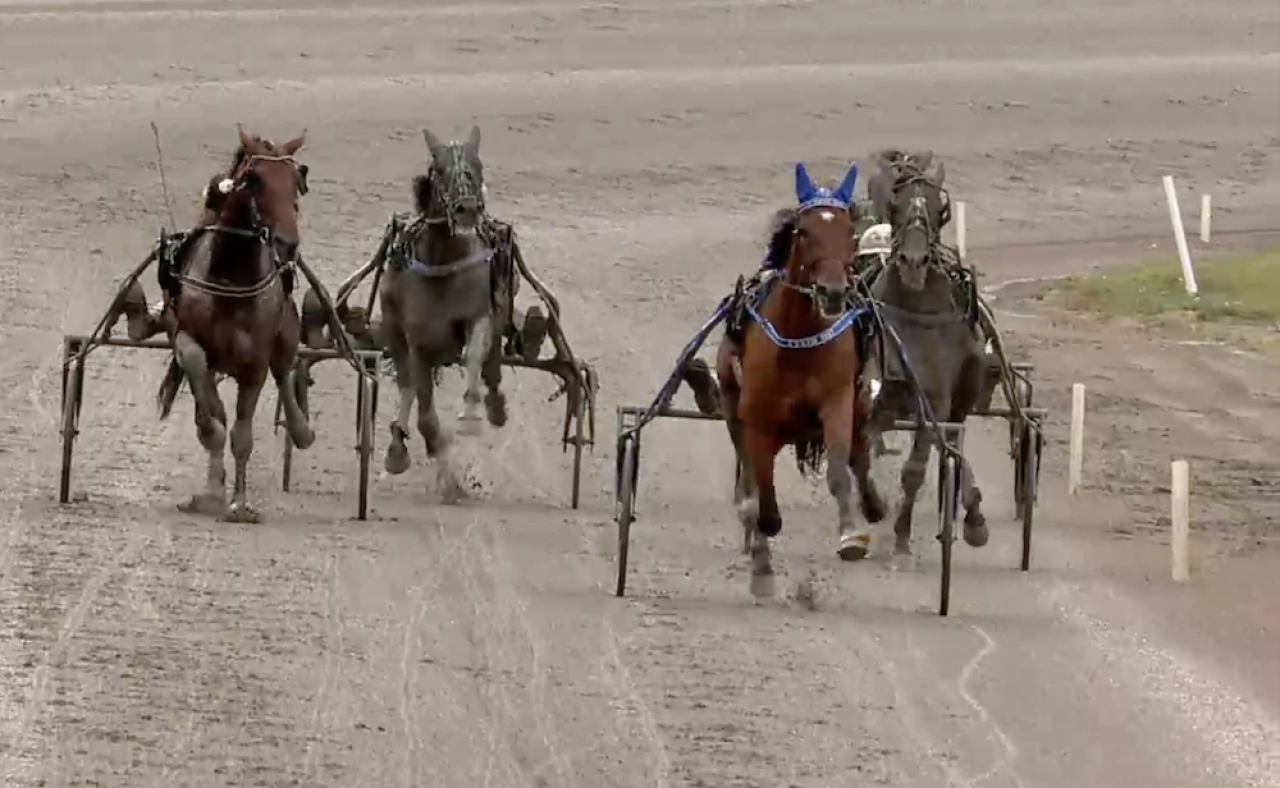 A Fair Day och Oscar Ginman saknade motstånd i Rex the Greats lopp.