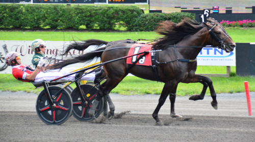 Super Chapter vann Cashman