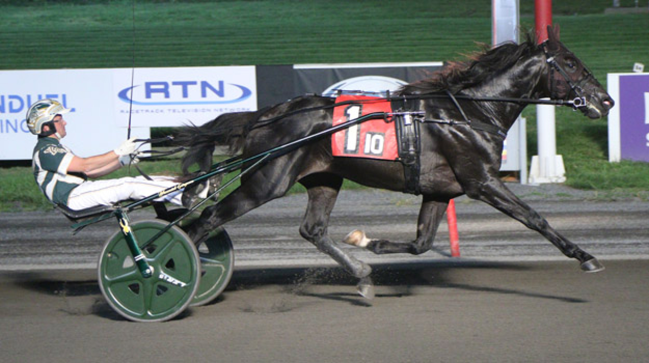 Åke Svanstedts Wyoming vann för Yannick Gingras i natt. Foto: Lisa Photo