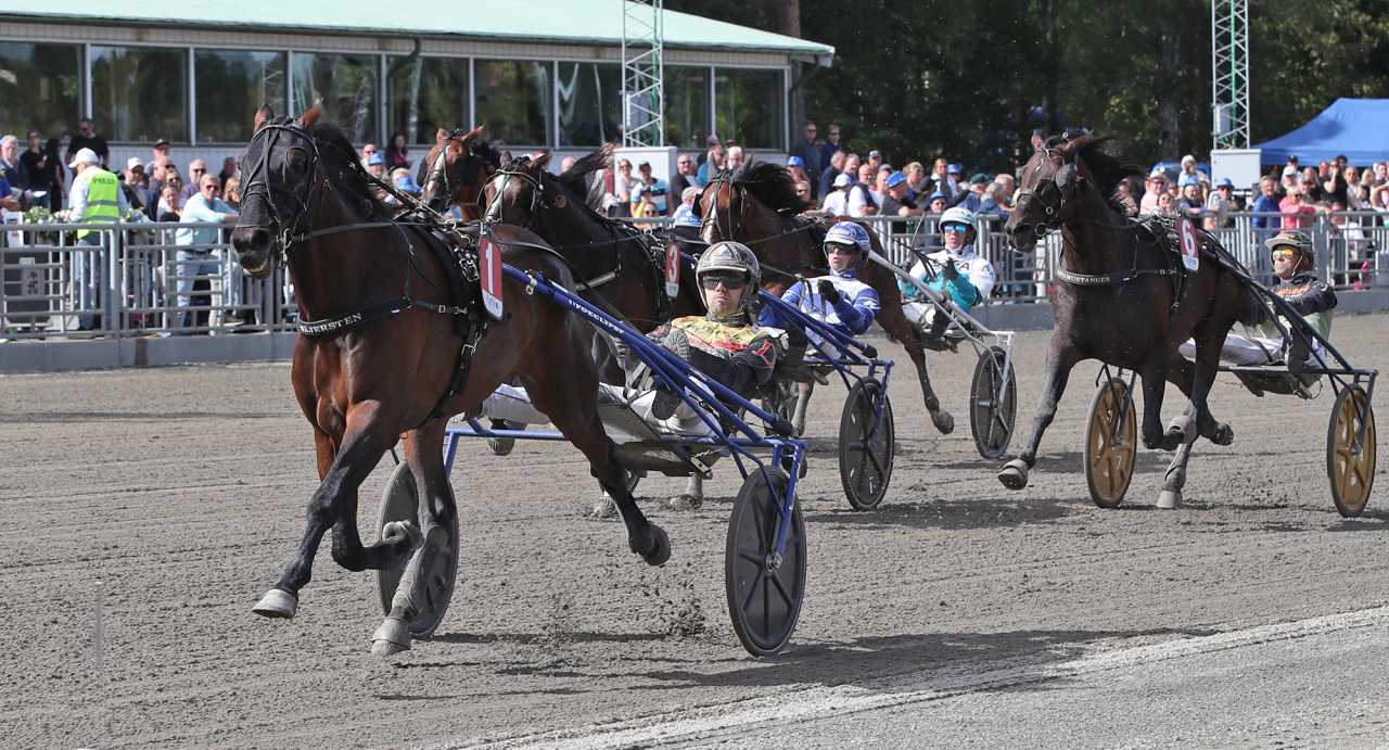 Daniel Wäjersten-tränade X.O.Kemp och Mats E Djuse vann en fartfylld upplaga av Storsjöpokalen. Foto Mathias Hedlund/Sulkysport