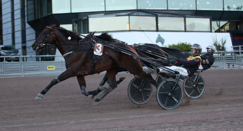 Världsrekord och SM-vinst