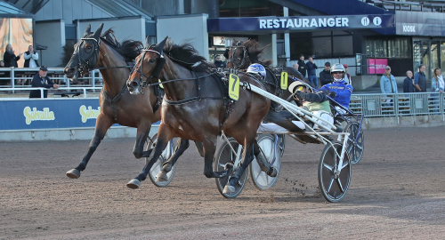 Oaks: Kagli Zet snuvade favoriten