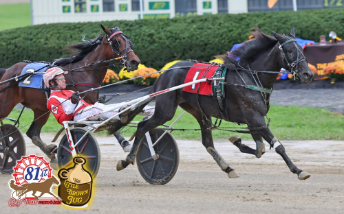Engblom-seger i Delaware