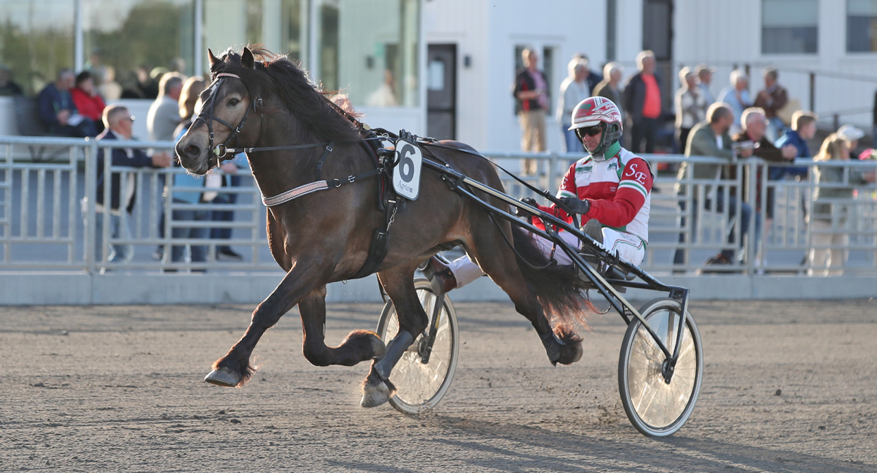 Bato Prinsen och Stefan Edin. Foto Mathias Hedlund/Sulkysport