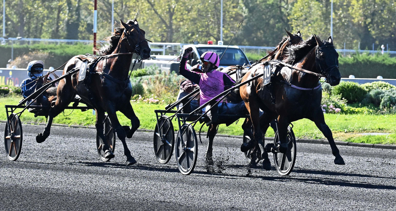 Moustik La Govelle och Damien Bonne vinner Criterium des 4 ans. Foto: Gerard Forni