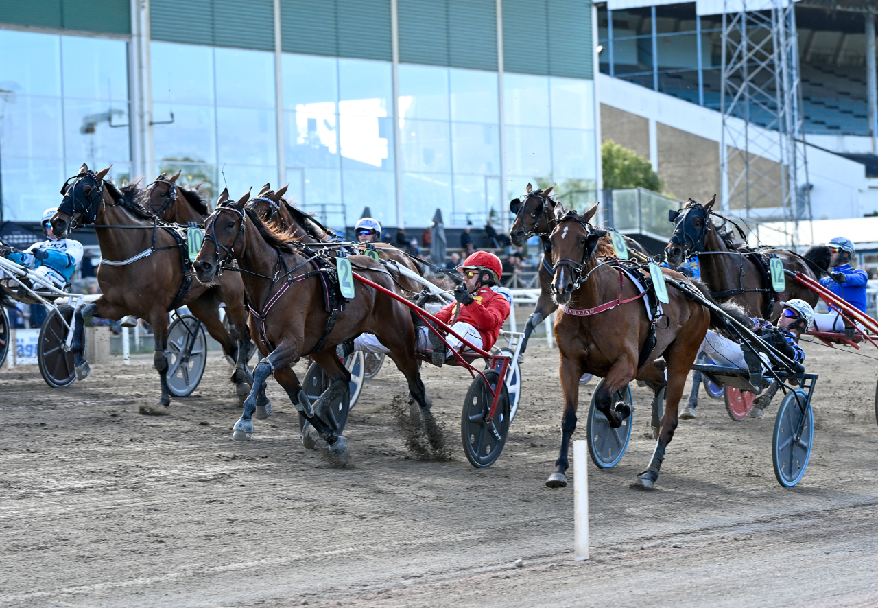 Meditate vinner Derbystoet. Foto: Stefan Olsson/Cavok