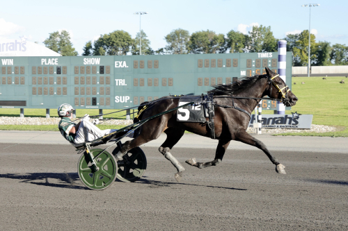 Consolation till Melander