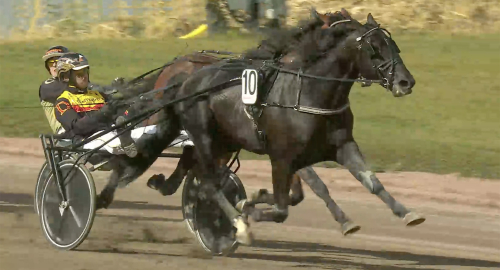 V85: Westholms nya norska stjärna