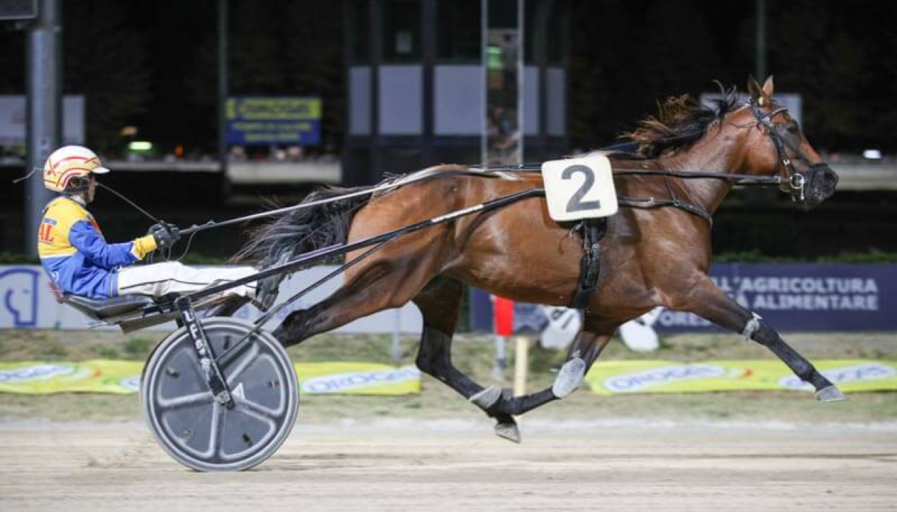 Dali Prav tog hem Campionato Europeo. Foto: Ippodromo Cesena