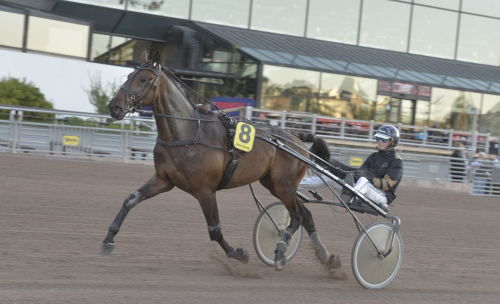 Enmansshow på Solvalla
