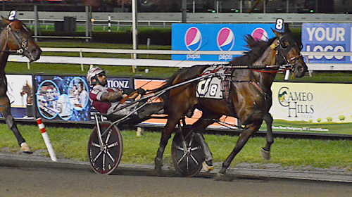 Hambo-vinnare besegrad
