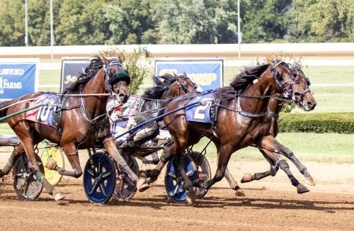Trippel till Melander