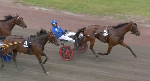 V85: Nilla Lanes uppvisning