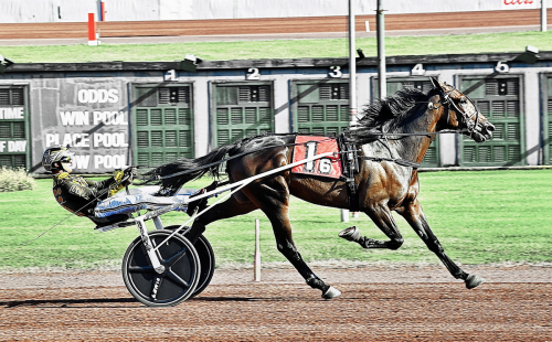 Hambo-ettans bror i Europadebut