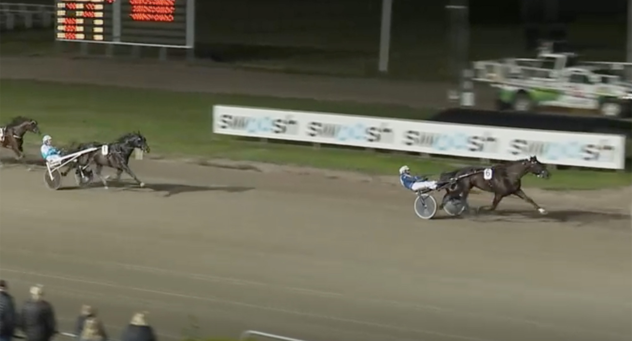 Mattias Djuse-tränade Parveny och Magnus A Djuse närmast utklassade Don Fanucci Zet i snabbloppet i Gävle. Skärmbild ATG Live