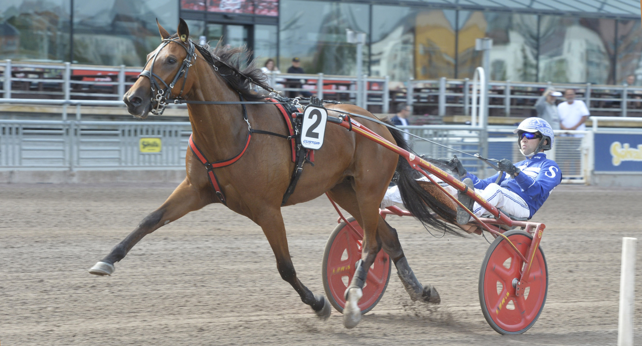 Roger Walmann-tränade Punjab och Rikard N Skoglund glänste på Solvalla igår. Foto Adam Ström/stalltz.se