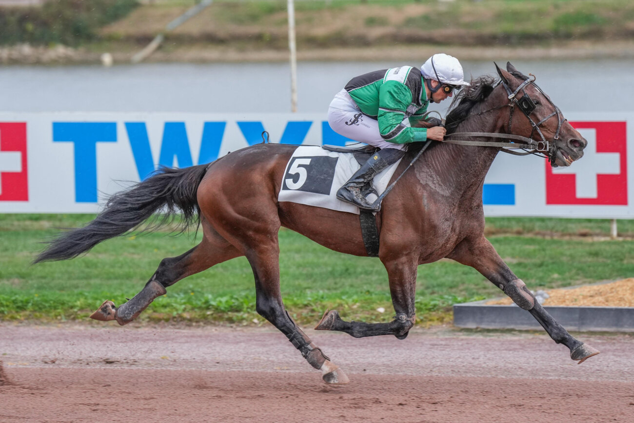 Cameron och Alexandre Abrivard vid dagens triumf i Laval. Foto: Scoopdyga