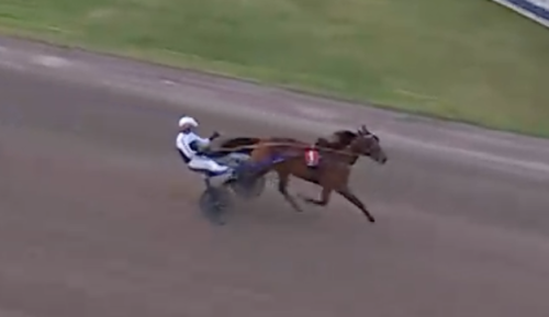 Hedqvist och Carré till SM