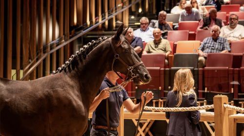 Rekordauktion i Deauville