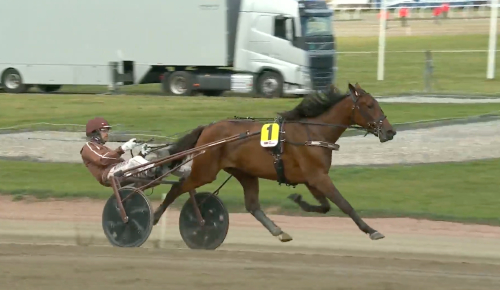 Ehlerts tvååring överlägsen