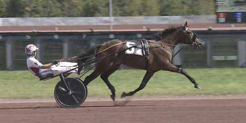 Trippel till Lucas Wallin