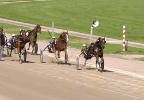 Favoritseger i Wolvega