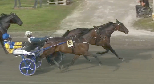 2.000 till Magnus Djuse