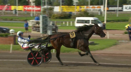 Tom tog hem Ungdoms-SM