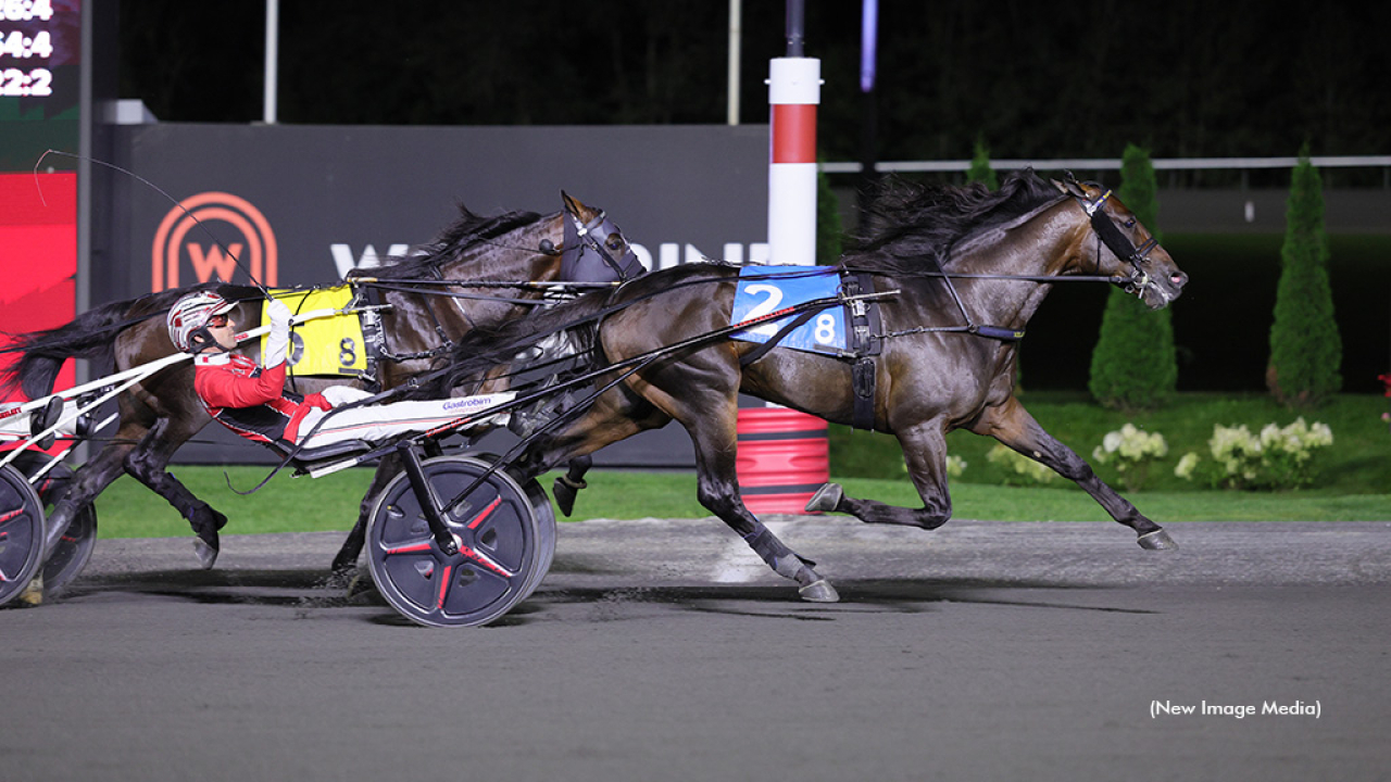 Super Chapter och Dexter Dunn tar hem Maple Leaf Trot före invändige French Wine. Foto: New Image Media