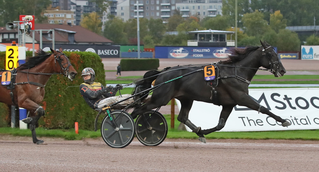 Mats E Djuse hade full koll på Jörgen Westholm-tränade Iaintnoquitter. Foto Mathias Hedlund/Sulkysport