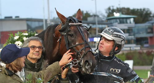 Ettan, trean, fyran och favoriten