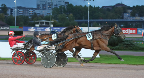 Killer Rain i regnet