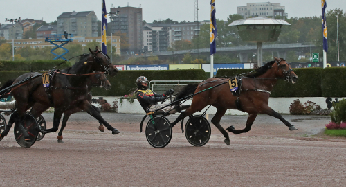 Westholms stjärna etta i guld