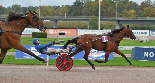 Nilla Lane stal showen