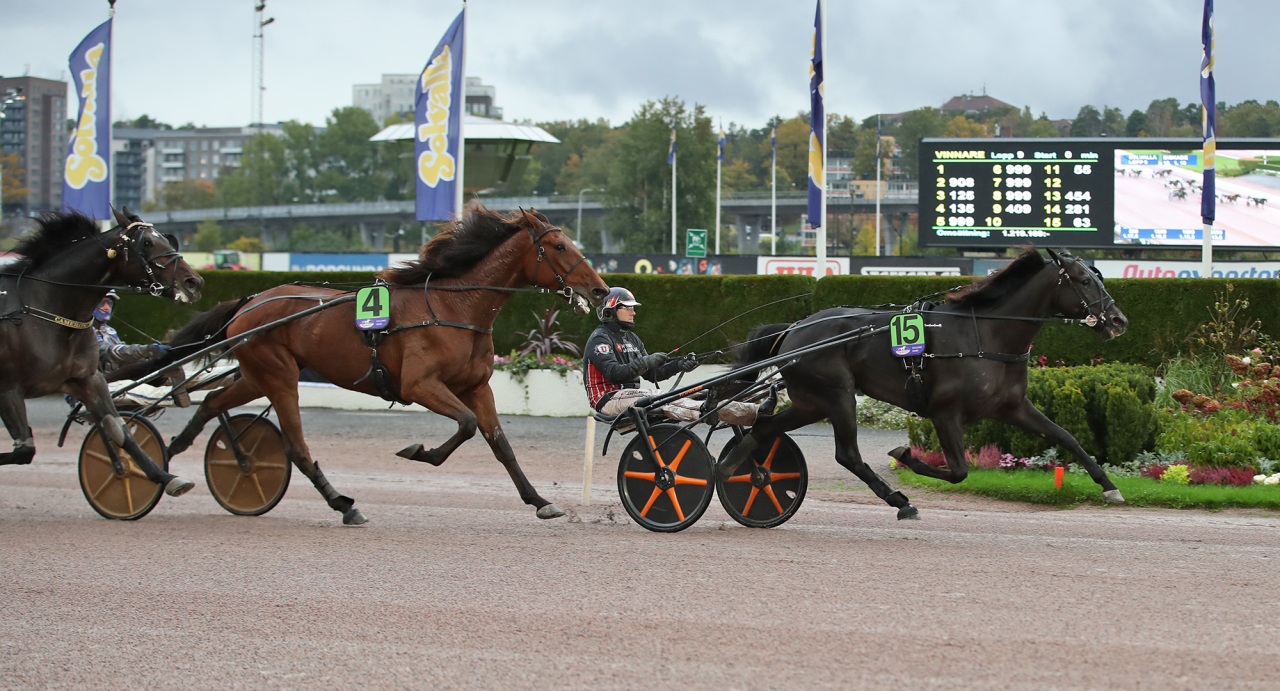 Fredrik Wallin-tränade Monsieur Chocolat och Johan Untersteiner var starkast i Walter Lundberg Memorial. Foto Mathias Hedlund/Sulkysport