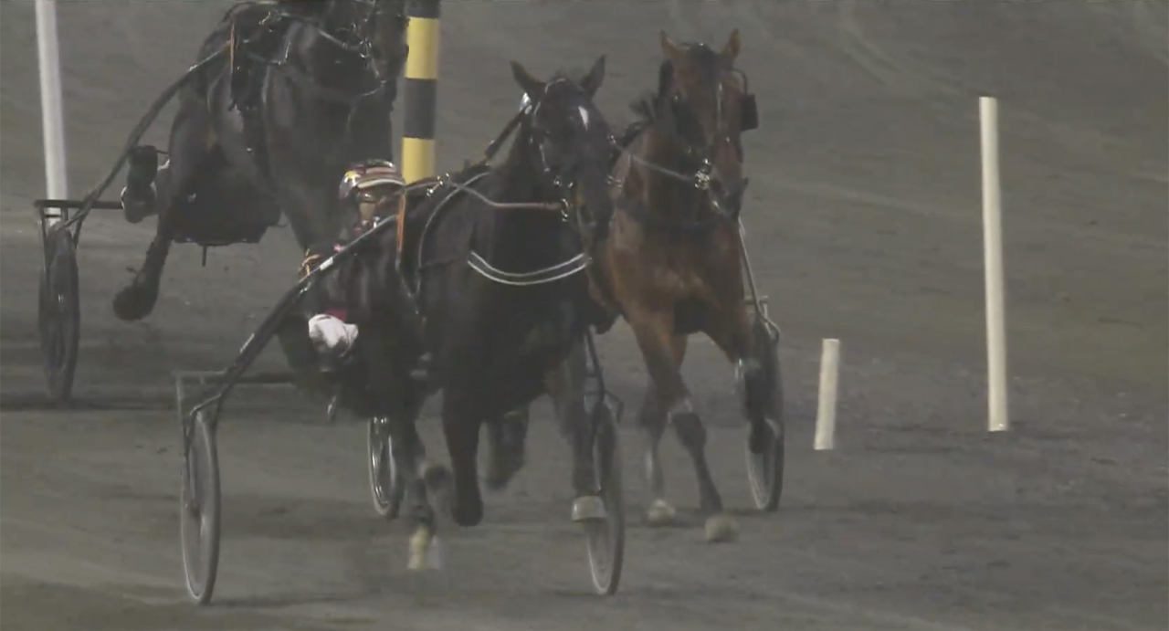 Paul Hagoorts Blizzard Diamant imponerade stort i fyraåringsloppet Axel Jensens Minne på Bjerke tillsammans med Robin Bakker. Skärmbild ATG Live