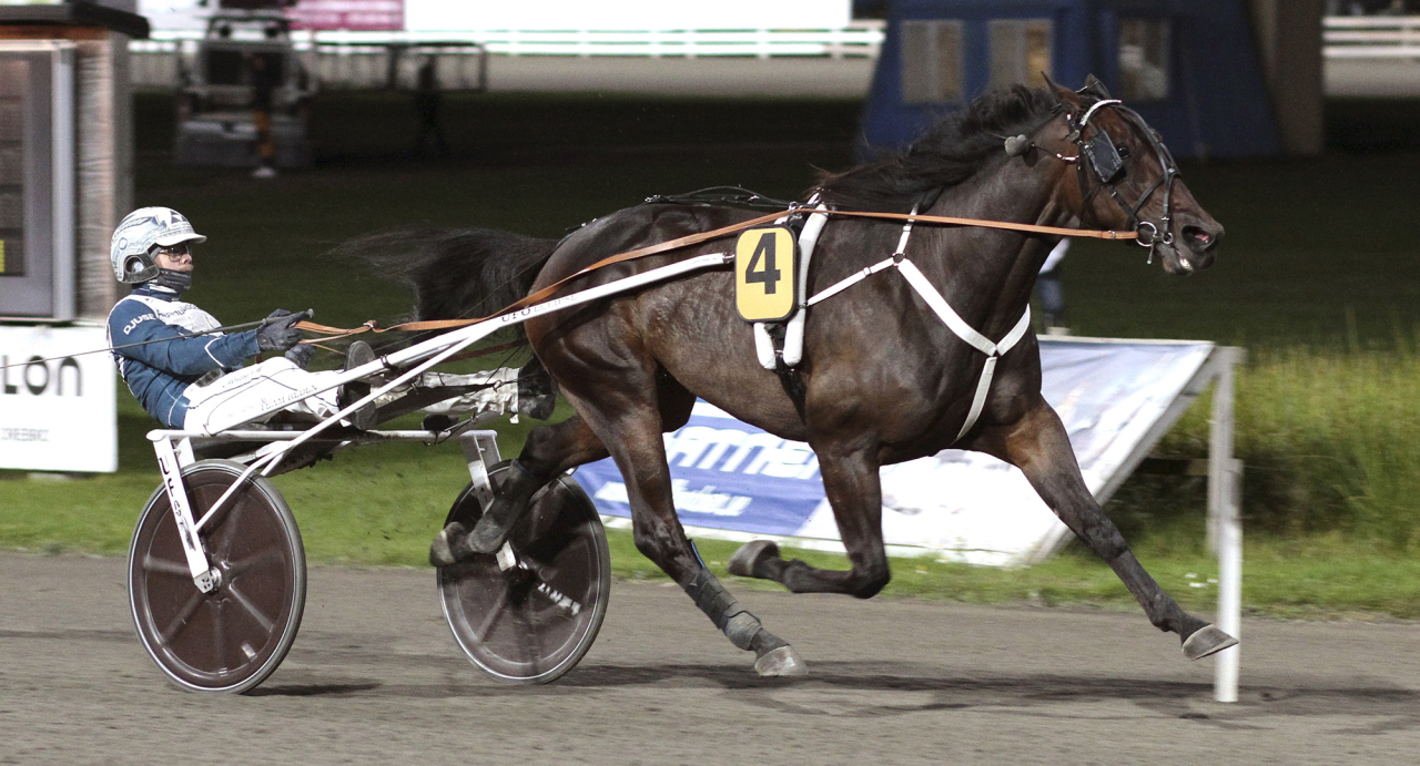 Daniel Redén-tränade Chat Room och Magnus A Djuse. Foto Gunilla König/Stalltz.se
