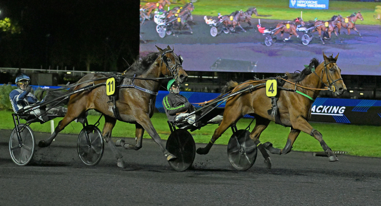 Oskar J Andersson-tränade Readly Lavec svarade för ett gott dagsverke på Vincennes när han slutade tvåa bakom Kiss Me Again i Prix Themis (€68.000). Foto Gerard Forni