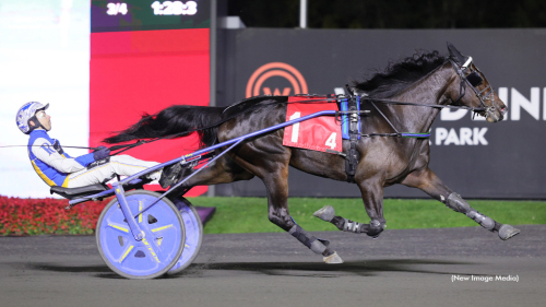 Dubbelt Kerwood i Kanada