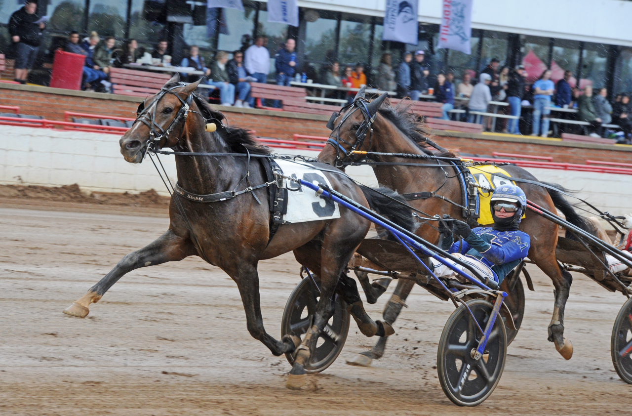 Todd McCarthy vinner bakom Åke Svanstedts Magic Punk. Foto: Adam Ström/stalltz.se