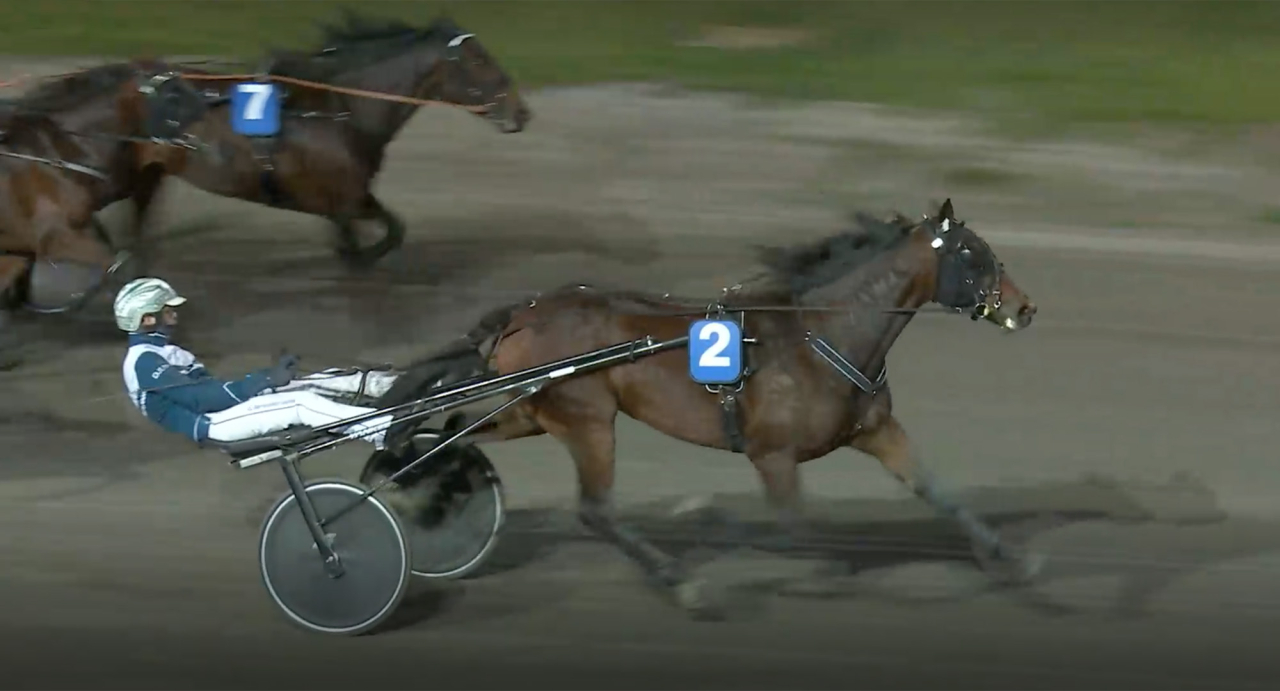 Martha Minow vann Breeders Crown-loppet för tvååriga ston i Gävle ikväll. Skärmbild ATG Live