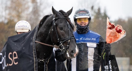 En riktigt vass debut