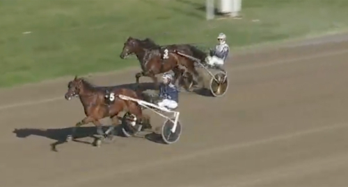 Storseger för Juul