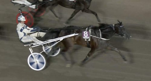 Drottningen mot Frankrike