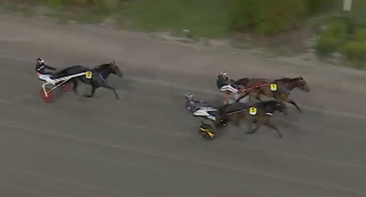 Linda Fyhr-tränade Reilly Westwood klev förbi länge ledande Zorro Zack och vann på tangerat svenskt rekord i Kalmar igår. Skärmbild ATG Live