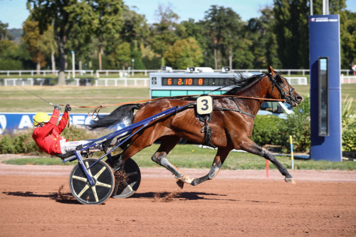 Svenskägd 22-oddsare i topp