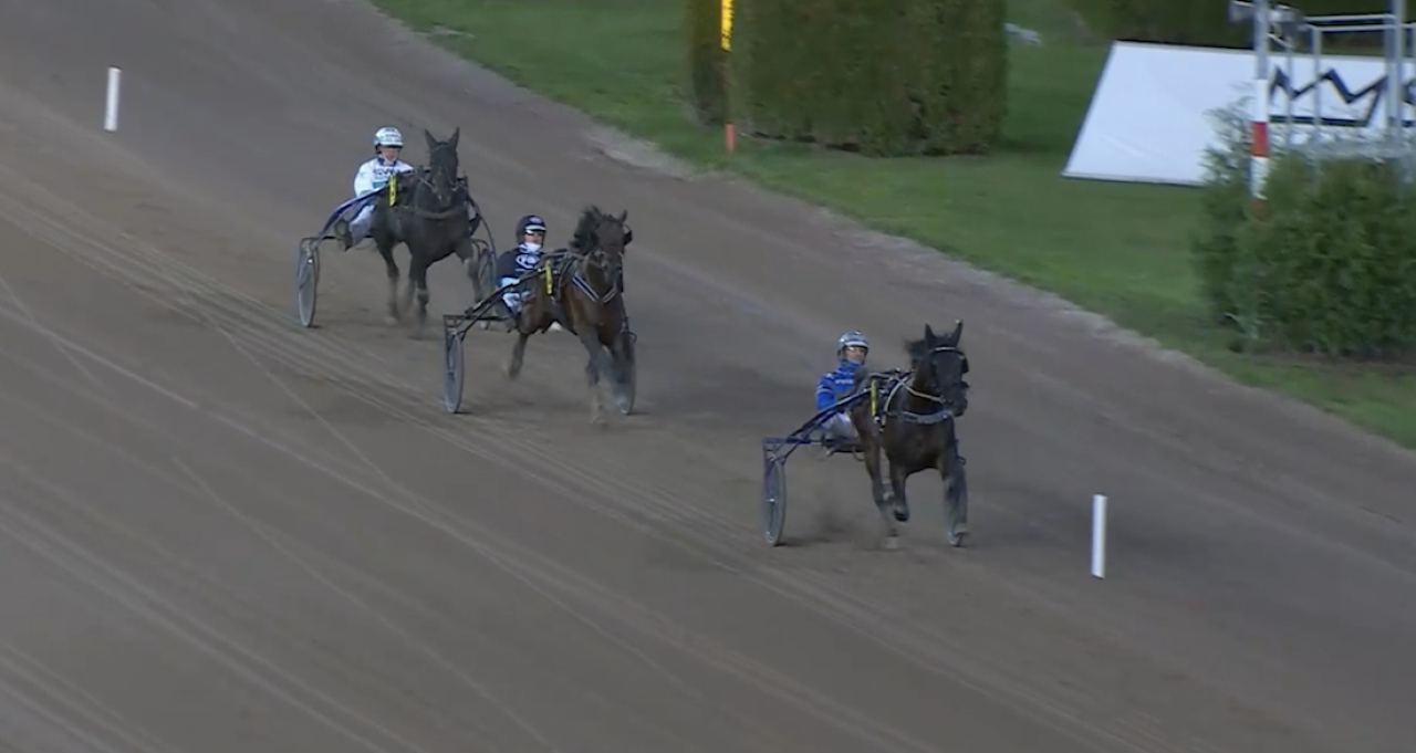 Rocksteady Artist vinner före Overlord Sisu och Tougher Than You.