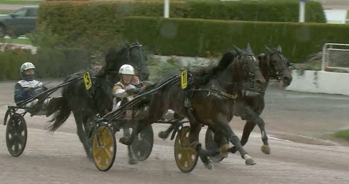 Toppinsatser i Breeders Course