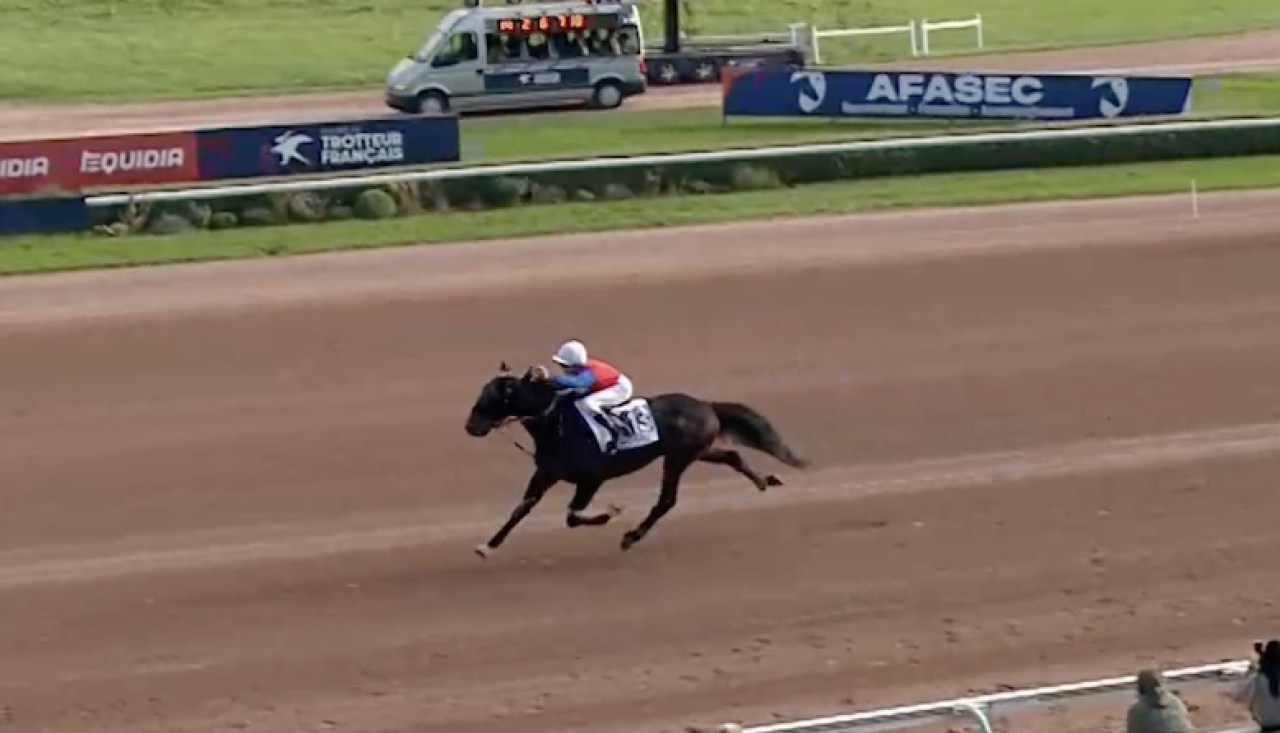 Nuevo Cash var ensam på plan i montédebuten.
Skärmbild Letrot