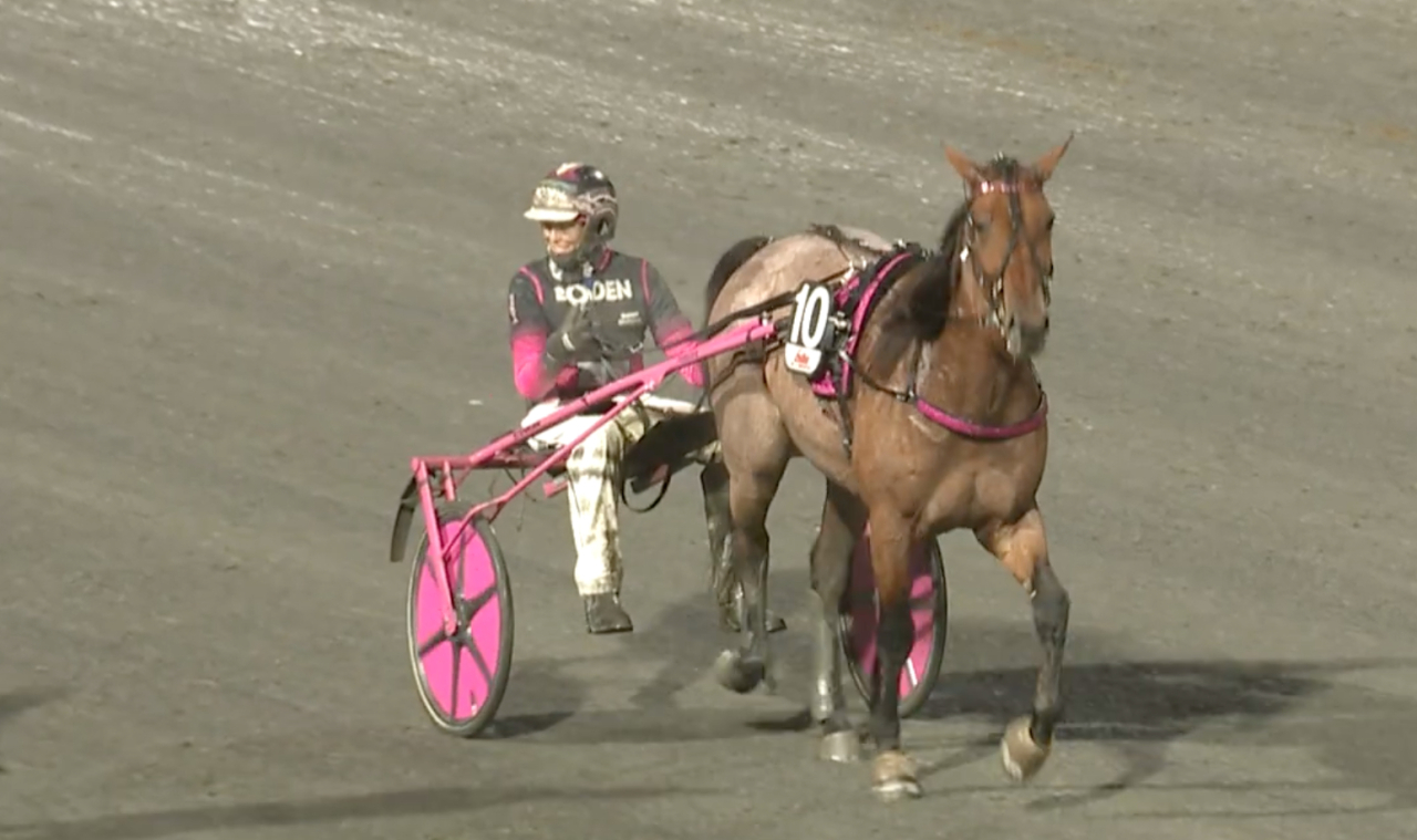 Pearl Hazelaar och Hanna Olofsson.
Skärmbild Bodentravet